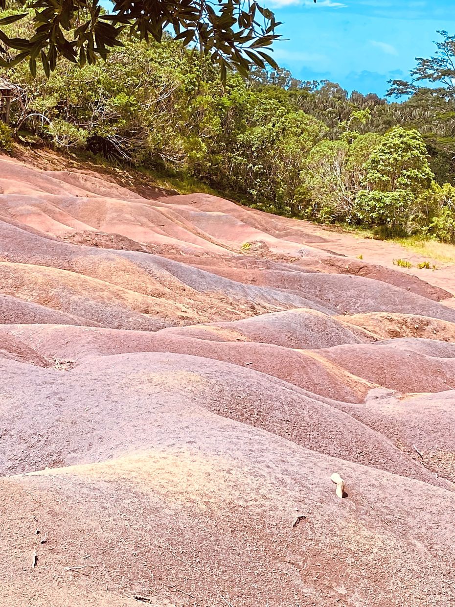 Learn about dodos, geological wonders and Hinduism in Mauritius, the Rainbow nation – The Star Online